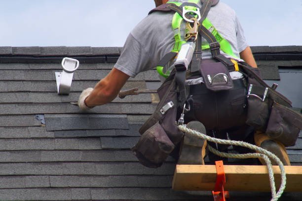 Best Roof Replacement Cost  in Roanoke, IL
