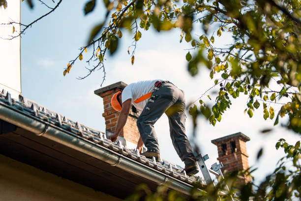 Best New Roof Installation  in Roanoke, IL