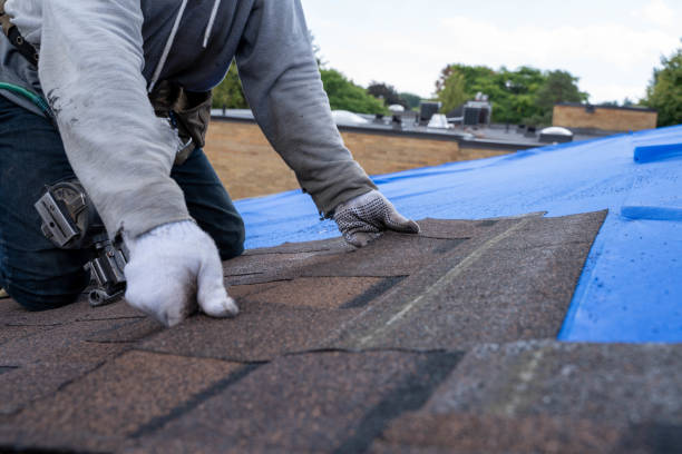 Roof Gutter Cleaning in Roanoke, IL