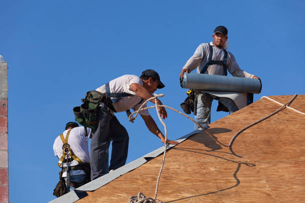 Best Best Roofing Contractors  in Roanoke, IL