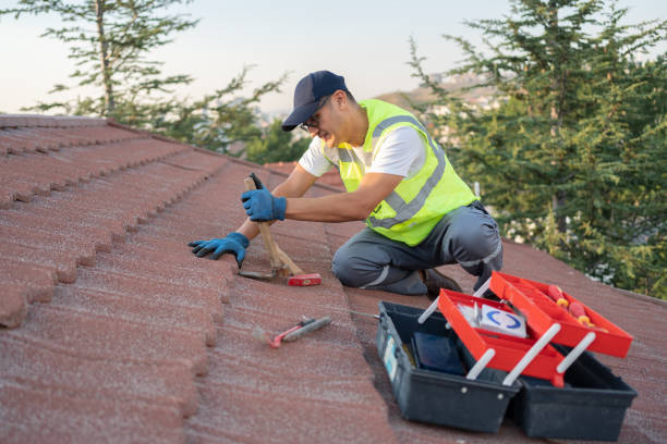 Gutter Installation and Roofing in Roanoke, IL