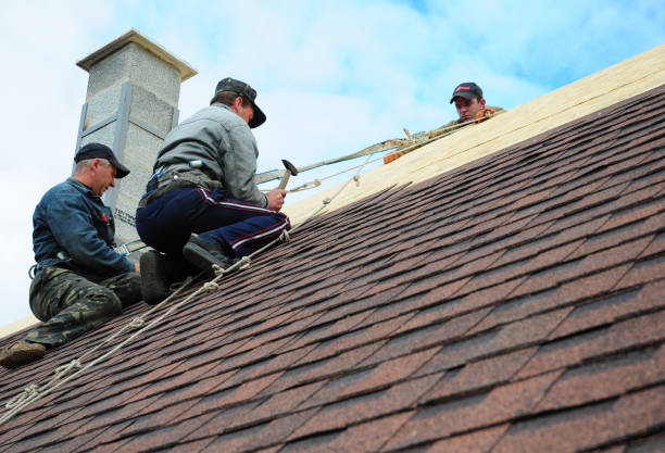 Best Metal Roofing Contractor  in Roanoke, IL